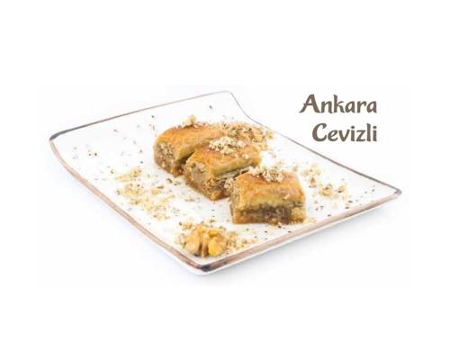 ANKARA CEVİZLİ