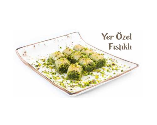 YER ÖZEL FISTIKLI